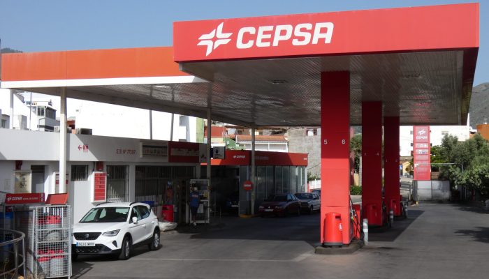 Cepsa Los Almendros (11)