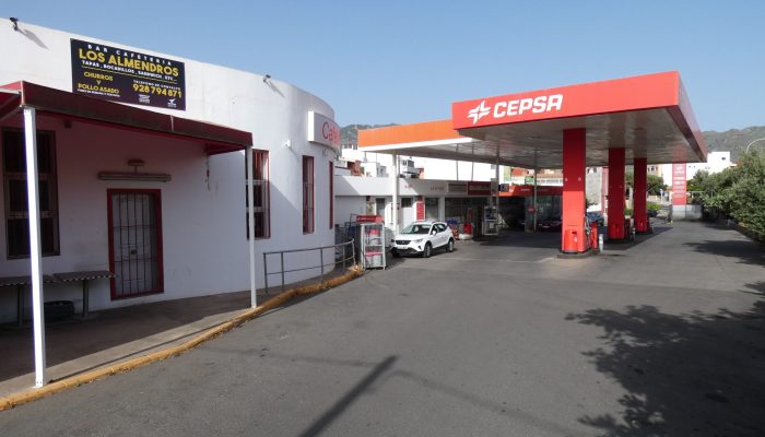 Cepsa Los Almendros (12)