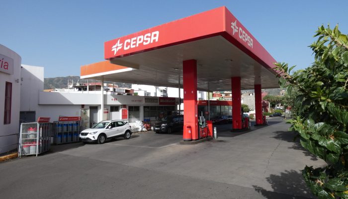 Cepsa Los Almendros (13)