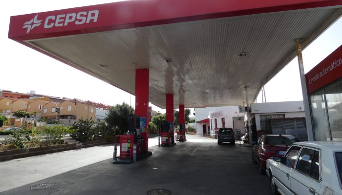 Cepsa Los Almendros (14)