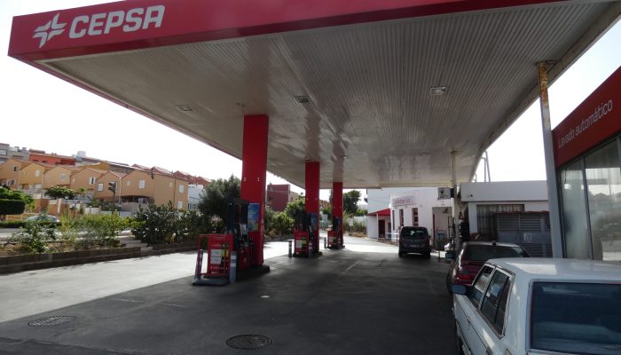 Cepsa Los Almendros (15)