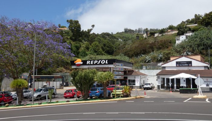 REPSOL LOS CASTILLLOS (2)
